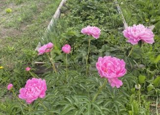 Продам участок, 8 сот., село Мальцево, улица Декабристов