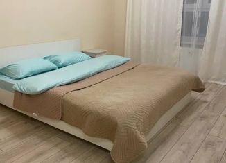 Сдам в аренду 1-комнатную квартиру, 35 м2, Гатчина, улица Чехова, 41
