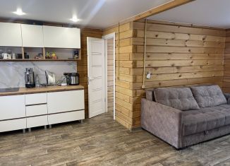Дом на продажу, 42 м2, Красноярский край, Садовая улица, 3