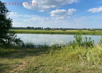 Продаю участок, 46 сот., село Черноречье
