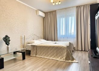 Сдается в аренду 1-комнатная квартира, 42 м2, Челябинск, улица Руставели, 3Б, Ленинский район