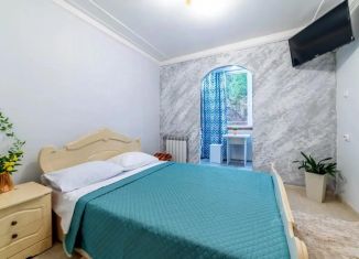 Квартира в аренду студия, 18 м2, Сочи, улица Чебрикова, 36