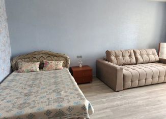 Однокомнатная квартира в аренду, 37 м2, Новосибирск, Владимировская улица, 21