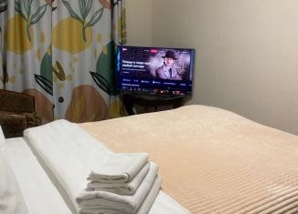 1-комнатная квартира в аренду, 41 м2, Гатчина, бульвар Авиаторов, 9