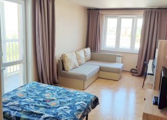Сдаю 1-ком. квартиру, 49 м2, Красноярск, улица Шевченко, 3, Ленинский район
