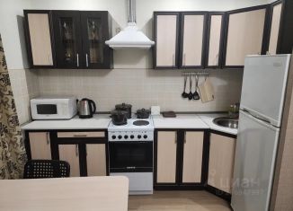 1-ком. квартира в аренду, 28 м2, Челябинская область, улица Заря, 29Б