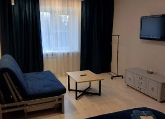 Сдается в аренду 2-комнатная квартира, 45 м2, Ленинградская область, проспект Ленина, 38