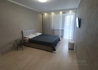 Сдаю 1-комнатную квартиру, 45 м2, Самара, улица Шверника, 19А, метро Безымянка