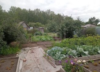 Продам дачу, 50 м2, Тюмень, Лесная улица