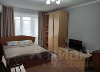 Сдается в аренду 1-комнатная квартира, 30 м2, Таганрог, улица Шмидта, 13