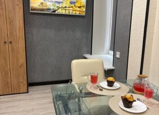 Сдам в аренду квартиру студию, 27 м2, Ленинградская область, проспект Карла Маркса, 63Ак1