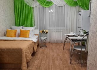 Сдается квартира студия, 30 м2, Челябинская область, улица Заря, 29Б