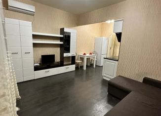 Сдается в аренду квартира студия, 27 м2, Ростов-на-Дону, улица Ерёменко, 101, Советский район