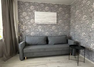 1-ком. квартира в аренду, 31 м2, Ленинградская область, город Тельмана, 28