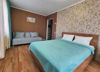 Сдача в аренду 2-ком. квартиры, 45 м2, Челябинская область, улица Попова, 15