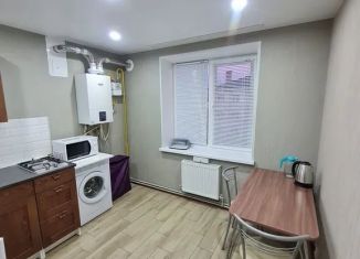 Сдача в аренду 1-ком. квартиры, 38 м2, Городец, Добрая улица, 5