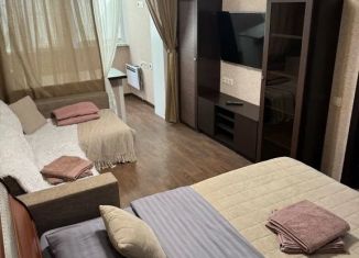 Аренда двухкомнатной квартиры, 43 м2, Самара, улица Осипенко, 20, метро Алабинская