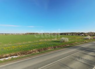 Участок на продажу, 10.13 сот., деревня Коняшина