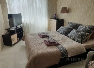 Сдается однокомнатная квартира, 40 м2, Таганрог, улица Чехова, 143-1