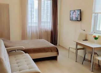 Квартира в аренду студия, 26 м2, Мурино, бульвар Менделеева, 3, ЖК Мой Город