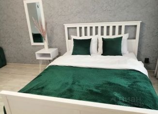 Аренда 1-ком. квартиры, 32 м2, Казань, улица Девятаева, 9, Вахитовский район