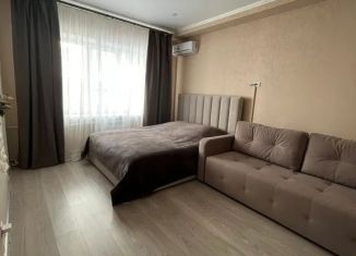 Сдам квартиру студию, 25 м2, Казань, улица Карла Маркса, 44А, Вахитовский район