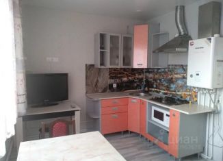 Сдам в аренду однокомнатную квартиру, 42 м2, Чебаркуль, улица 9 Мая, 21
