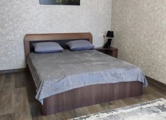 Сдаю 2-ком. квартиру, 55 м2, Ростовская область, Сенной переулок, 3