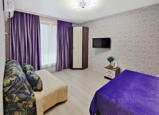 Сдаю в аренду однокомнатную квартиру, 33 м2, Самара, микрорайон Крутые Ключи, 38, метро Юнгородок