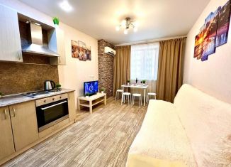 Сдам в аренду 1-ком. квартиру, 50 м2, Самара, улица Советской Армии, 238А, метро Алабинская