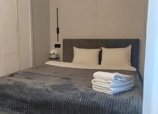 Сдам квартиру студию, 30 м2, Ленинградская область, проспект Суворова, 7