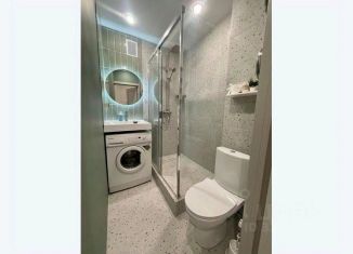 Сдается в аренду 1-ком. квартира, 32 м2, Казань, улица Халева, 9