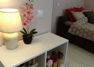 Сдается квартира студия, 26 м2, Гатчина, улица Чехова, 43