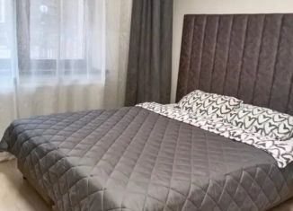 Аренда квартиры студии, 21 м2, Мурино, бульвар Менделеева, 8, ЖК Солнечный