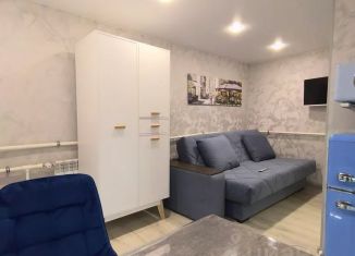 Квартира в аренду студия, 16 м2, Ленинградская область, улица Сторожевой Башни, 10