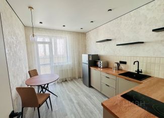 2-комнатная квартира в аренду, 48 м2, Самара, 4-й проезд, 67, метро Гагаринская