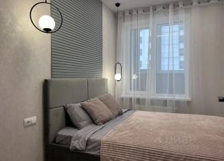 Сдается 1-комнатная квартира, 34 м2, Самара, улица Санфировой, 101, метро Победа