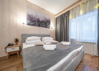 Сдается в аренду 2-комнатная квартира, 55 м2, Ленинградская область, Береговая улица, 2
