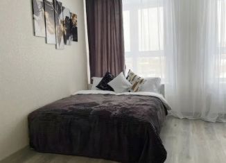 Сдам в аренду квартиру студию, 25 м2, Казань, улица Ярдем, 25, Приволжский район