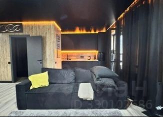 Сдаю в аренду 1-ком. квартиру, 35 м2, Ростов-на-Дону, Пролетарский район
