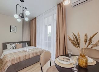 Сдам в аренду квартиру студию, 30 м2, Казань, улица Аделя Кутуя, 100, Советский район