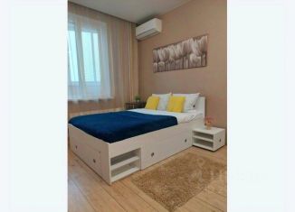 Сдам в аренду 1-комнатную квартиру, 28 м2, Ростов-на-Дону, улица Ерёменко, 98, Советский район