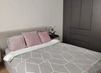 2-ком. квартира в аренду, 55 м2, Ленинградская область, проспект Строителей, 20