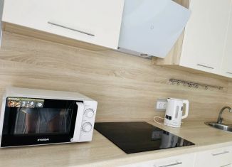 Сдам в аренду 1-комнатную квартиру, 36 м2, деревня Патрушева