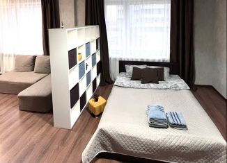 Сдается в аренду квартира студия, 48 м2, Челябинская область, улица Героя России А.В. Яковлева, 5