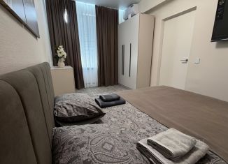 2-ком. квартира в аренду, 53 м2, Армавир, улица Ленина, 99