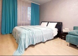 Аренда 1-ком. квартиры, 30 м2, Мурманск, улица Героев Рыбачьего, 38, Первомайский округ