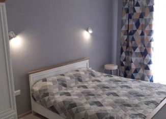 Сдается однокомнатная квартира, 43 м2, Калининград, улица Старшины Дадаева, 71, Ленинградский район