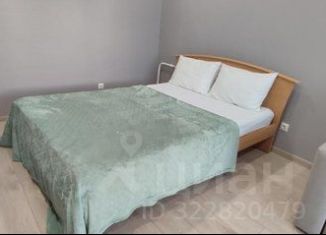 Сдача в аренду 1-ком. квартиры, 42 м2, Самара, Байкальский переулок, 10