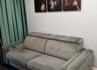 Сдаю квартиру студию, 23 м2, Владимирская область, Ореховая улица, 20